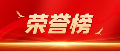 南岸區人大代表貢獻榜單發布  集團董事、總經理黃怡霖上榜